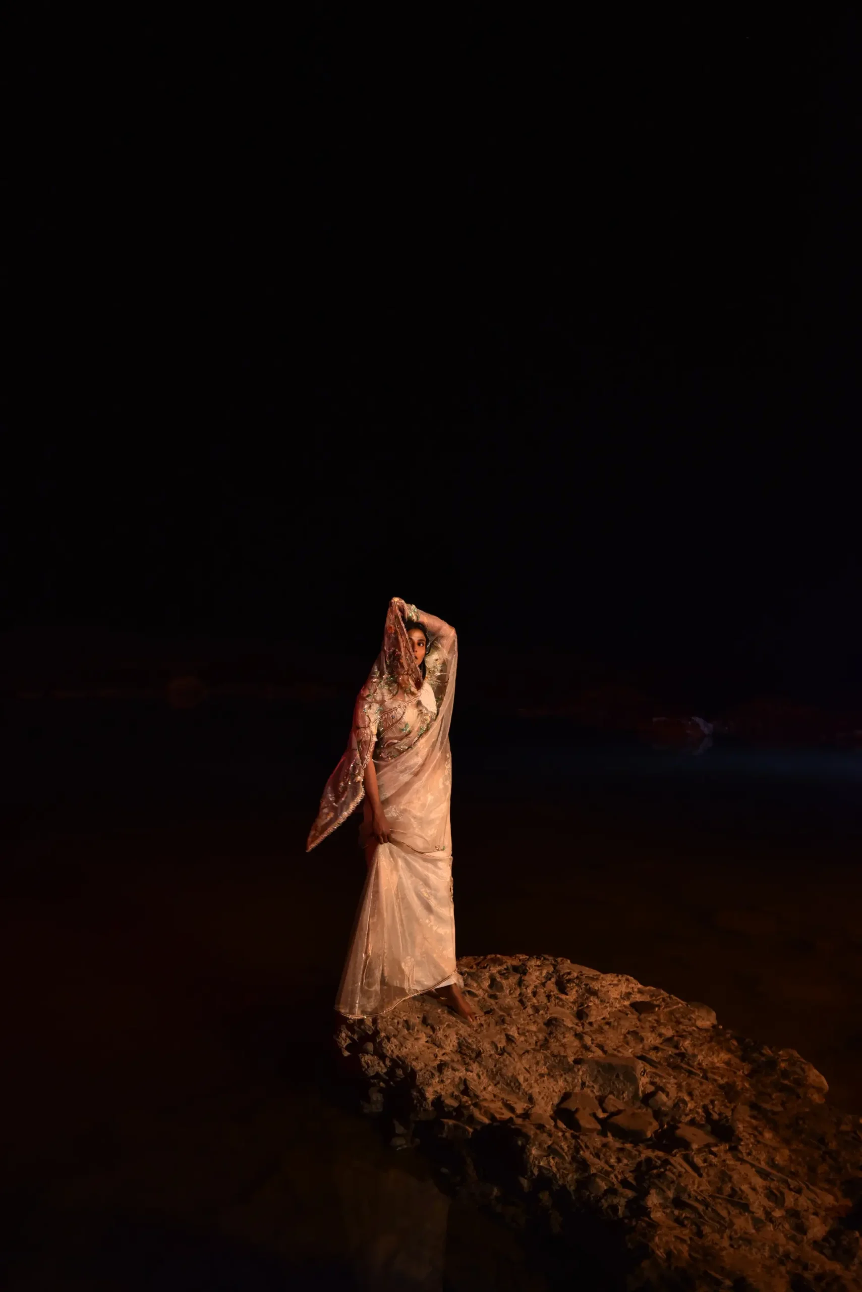 The Antique Ivory Cockatoo Sari - Image 4