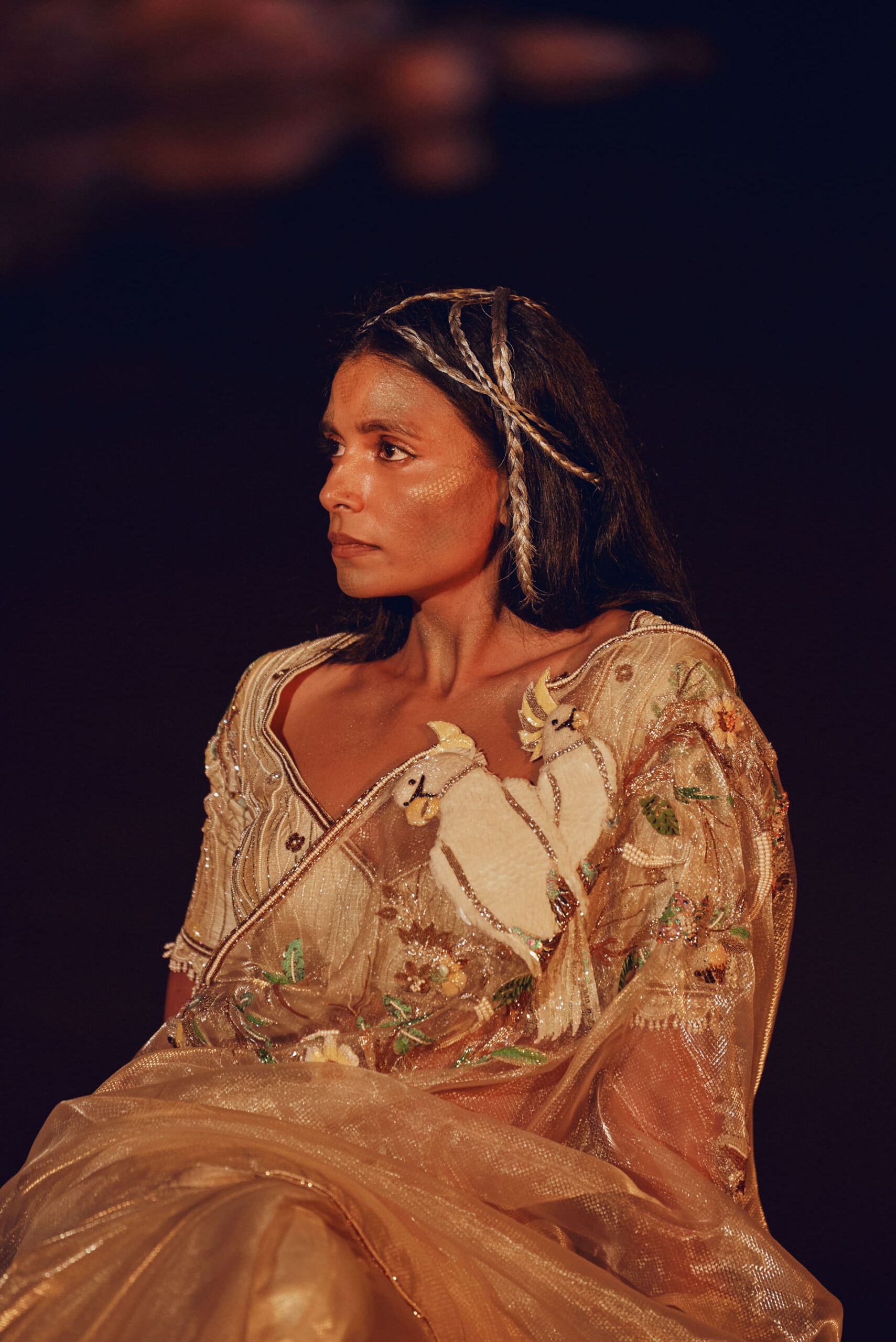 The Antique Ivory Cockatoo Sari - Image 3